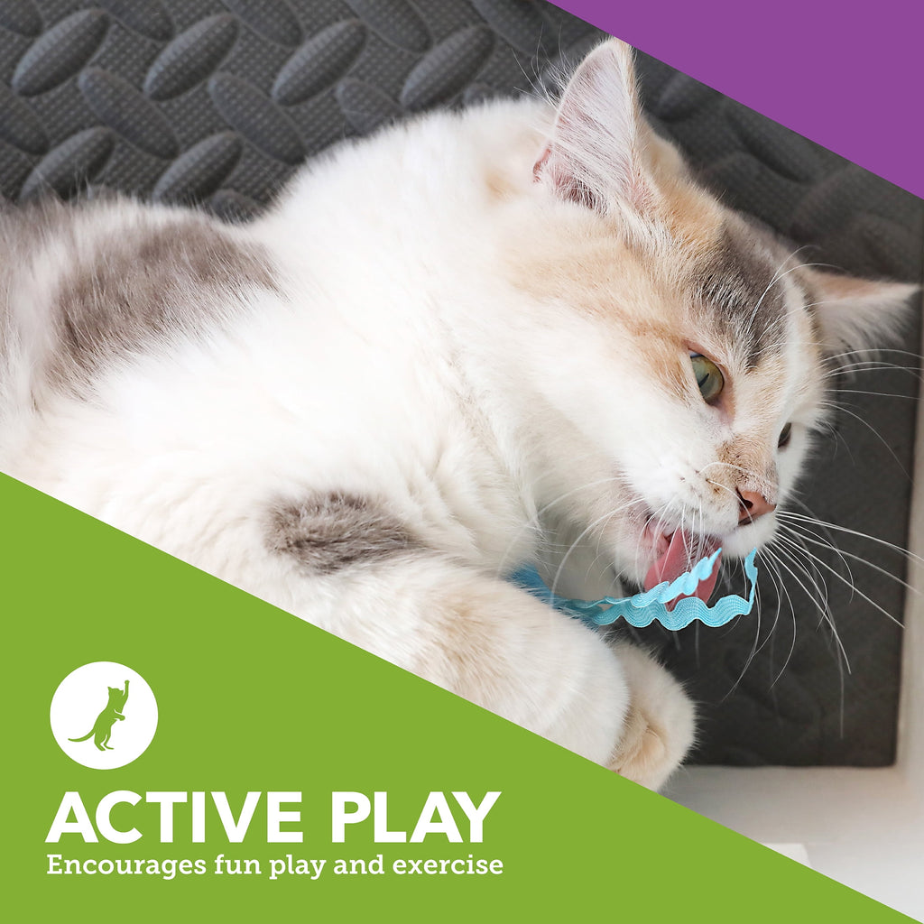 Vibrant Life Pizza Purrty Plush Catnip Filled Cat Toys, 4 Pack