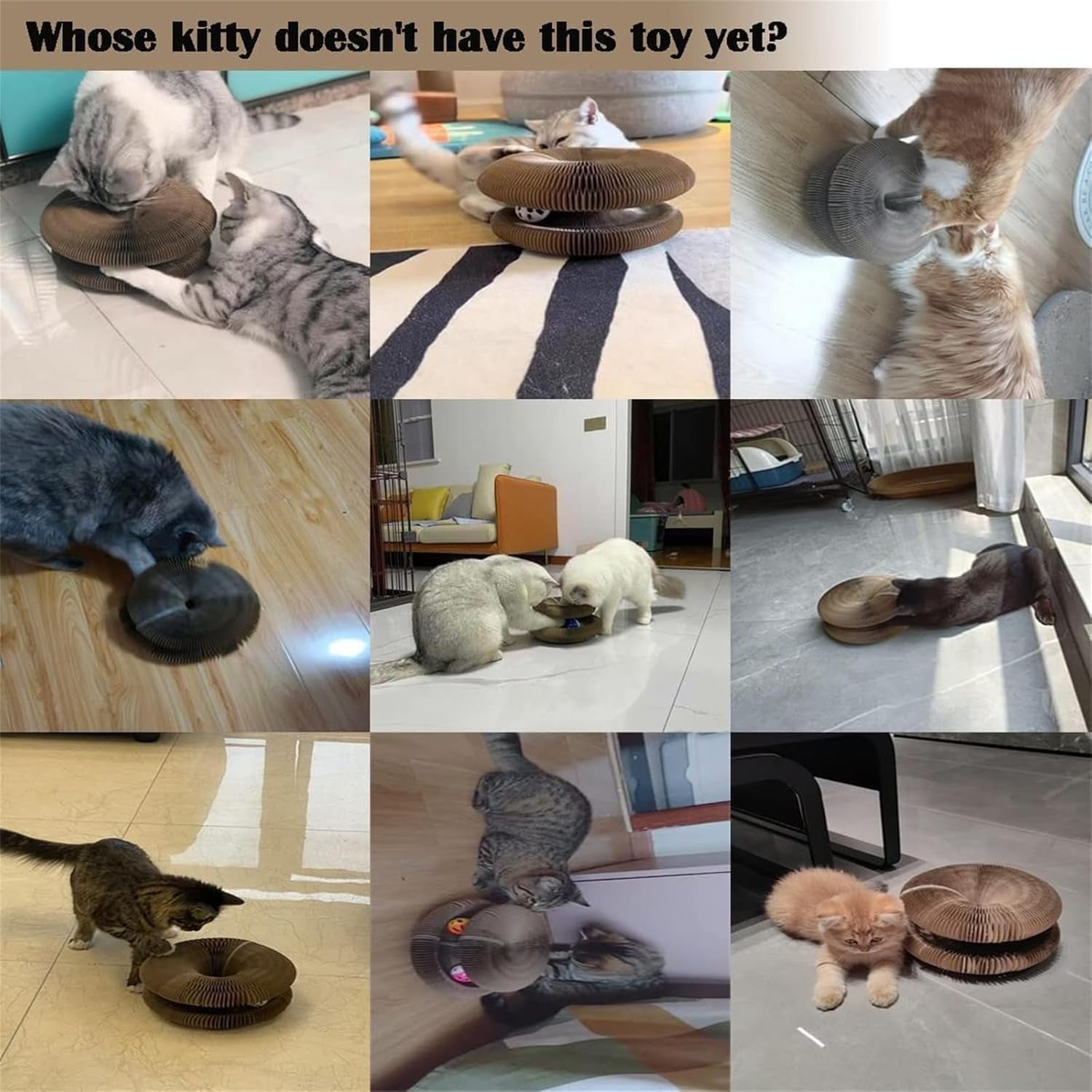 Marlene Kitty Kurlz, Kitty Curls Cat Toy, Cat Kurlz, Reversible Infinity Style Magic Organ Cat Scratching Board, Made from Recycled Corrugated Cardboard Durable & Long Lasting (2Pcs)