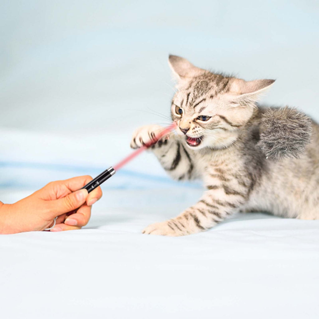 Cat Toy Mini Red Laser Pointer Cat Dog Interactive Training Tools White LED Torch Light with Keychain