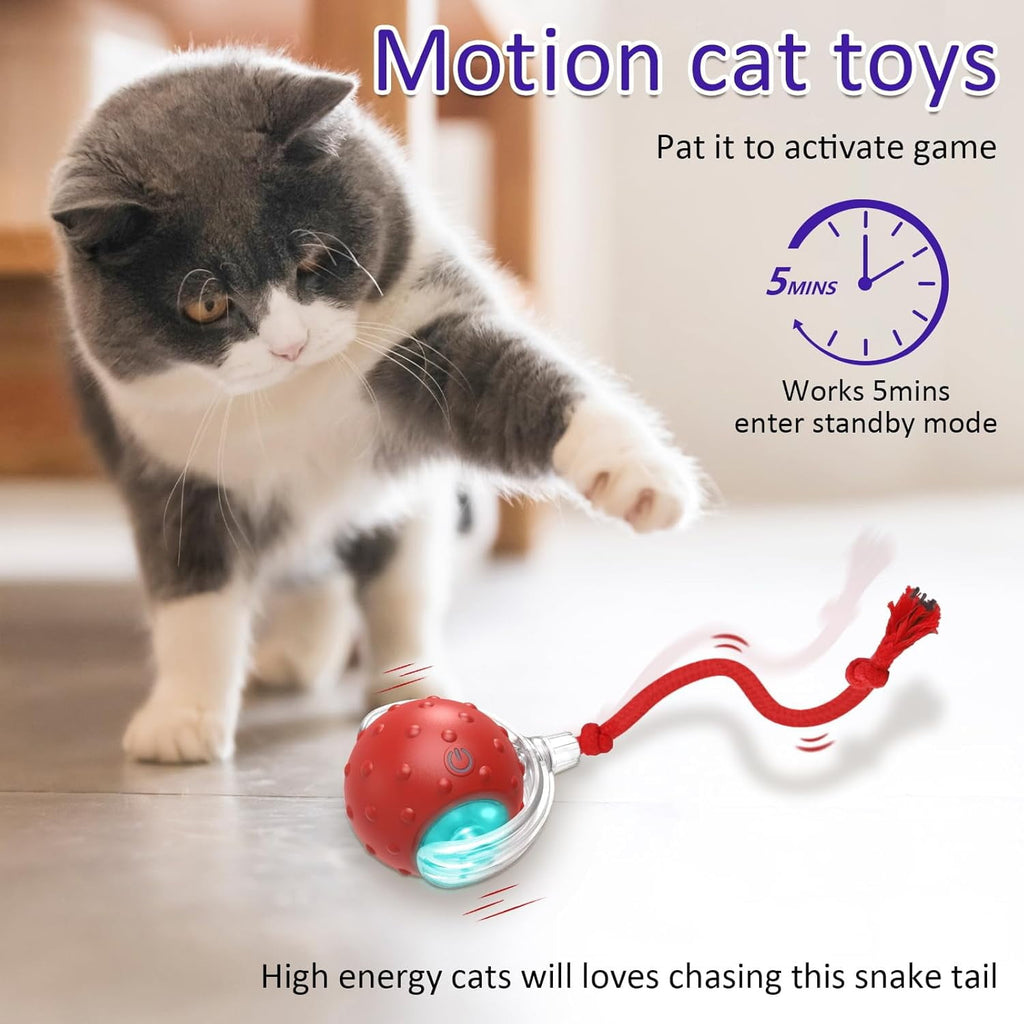 Interactive Cat Toys Ball for Indoor Cats Fast Rolling on Carpet, Chirping & Motion Activate Cat Toys