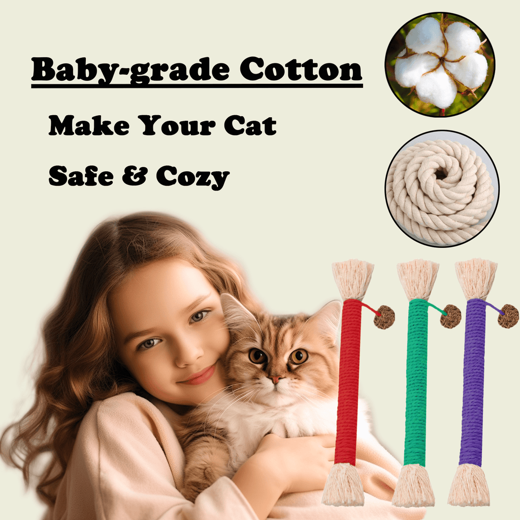 Grembeb 12 Pack Cat Chewing Toy Catnip Kitten Treat Kitten Silvervine Stick for Teeth Indoor Puppy Breeds