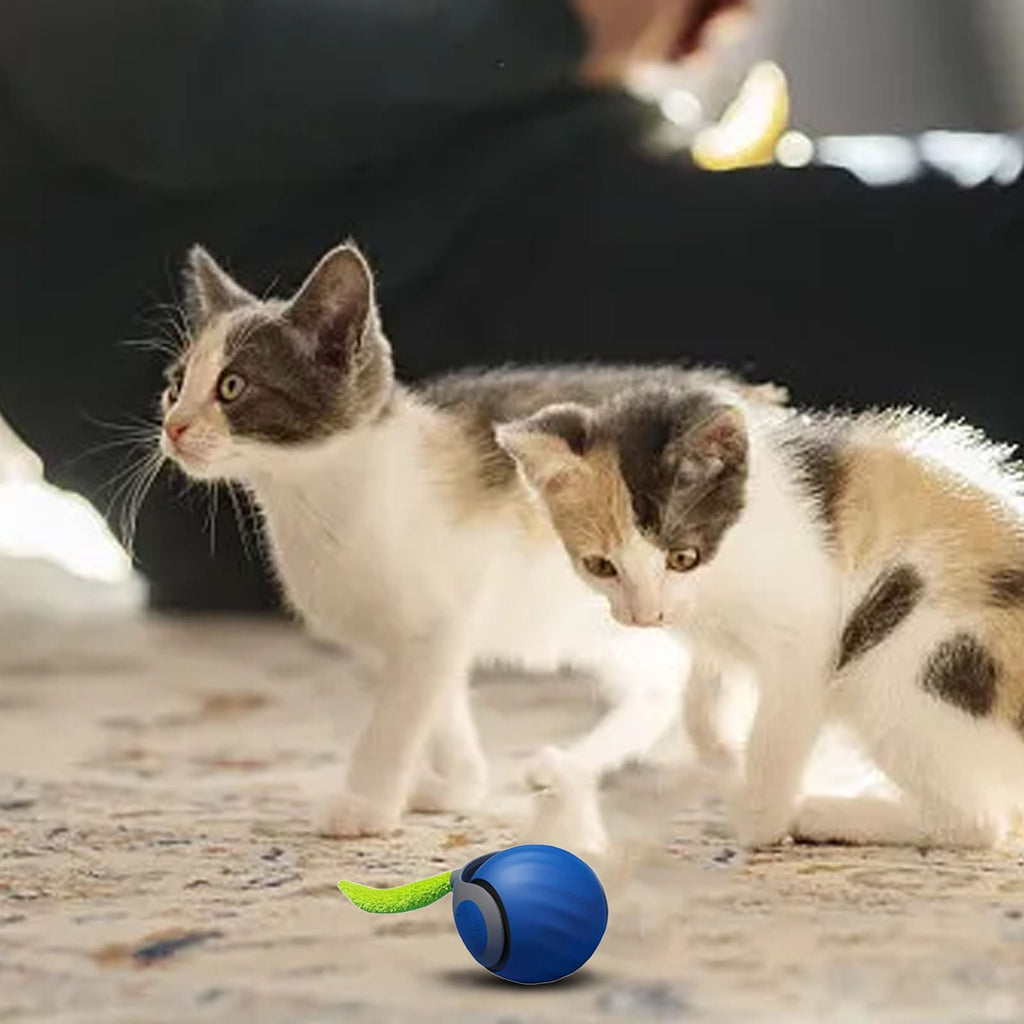 Speedy Tail Cat Toy 2.0 – USB Rechargeable Smart Moving Cat Toy Ball for Indoor Cats, Two Speed Adjustment & Replacement Tail