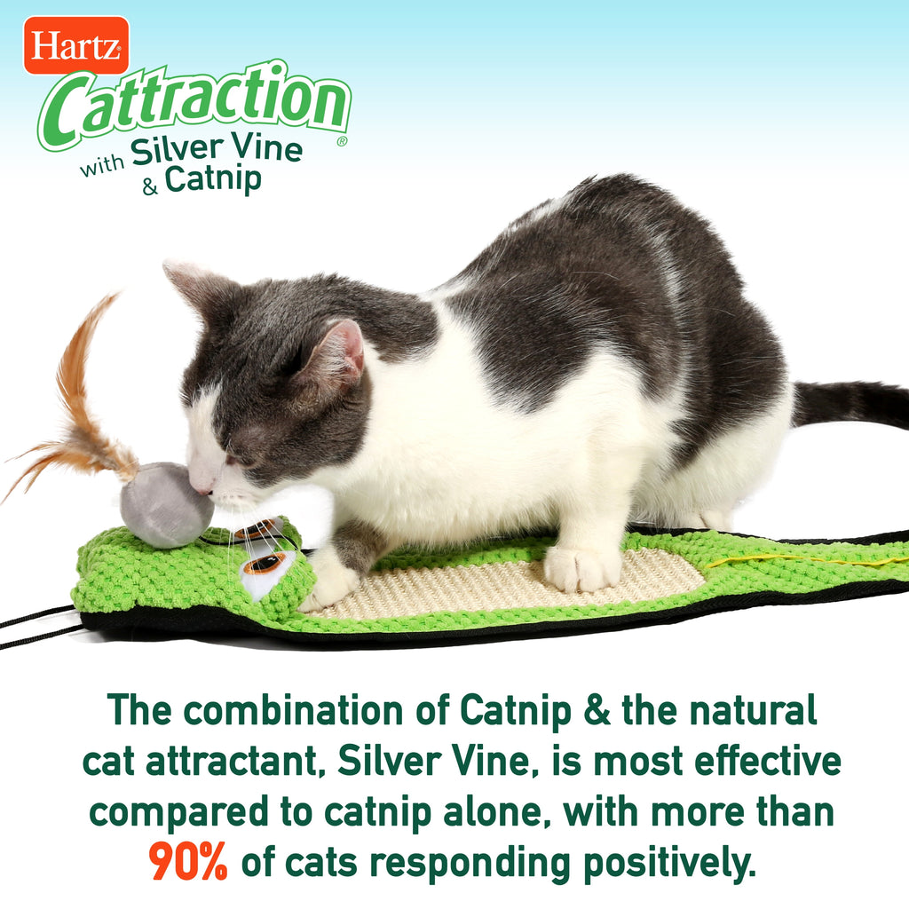 Hartz Cattraction Animal Pal Kicker Cat Toy with Silver Vine and Catnip, Animal Will Vary