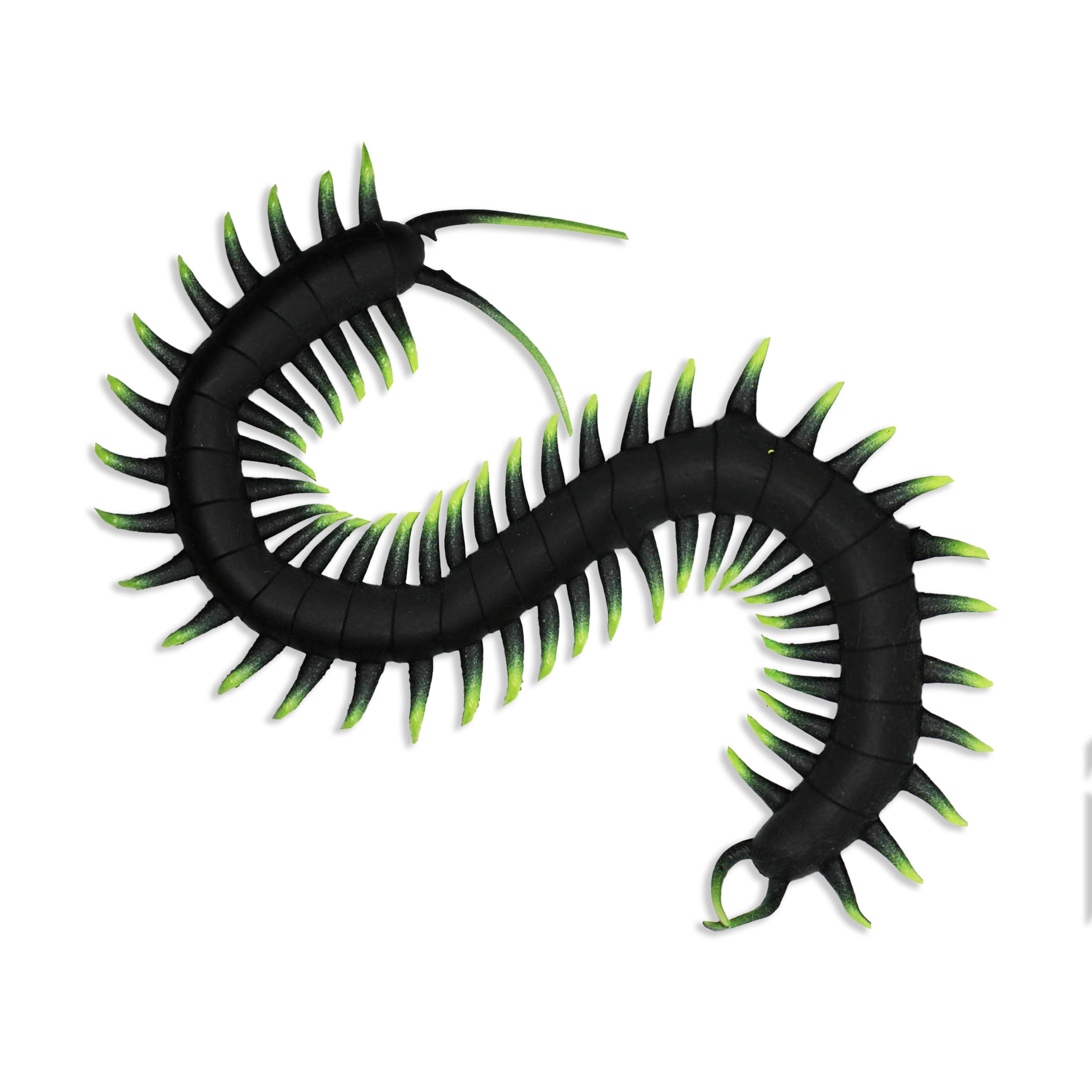 Playology Cat Toys | Catnip Infused Durable Rubber Centipede | Lifelike Toy for Cats